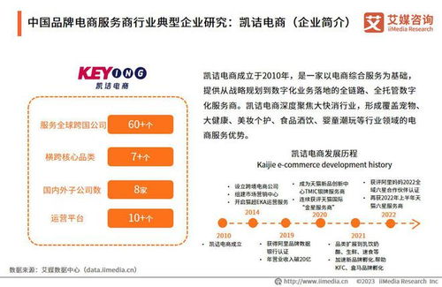 艾媒咨询 2023年中国品牌电商服务商行业研究报告